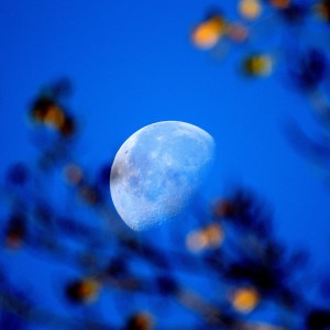 decresco luny